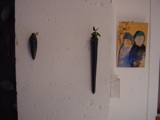 DSC00019.JPG