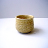 DSC00013.JPG