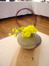 DSC00036.JPG